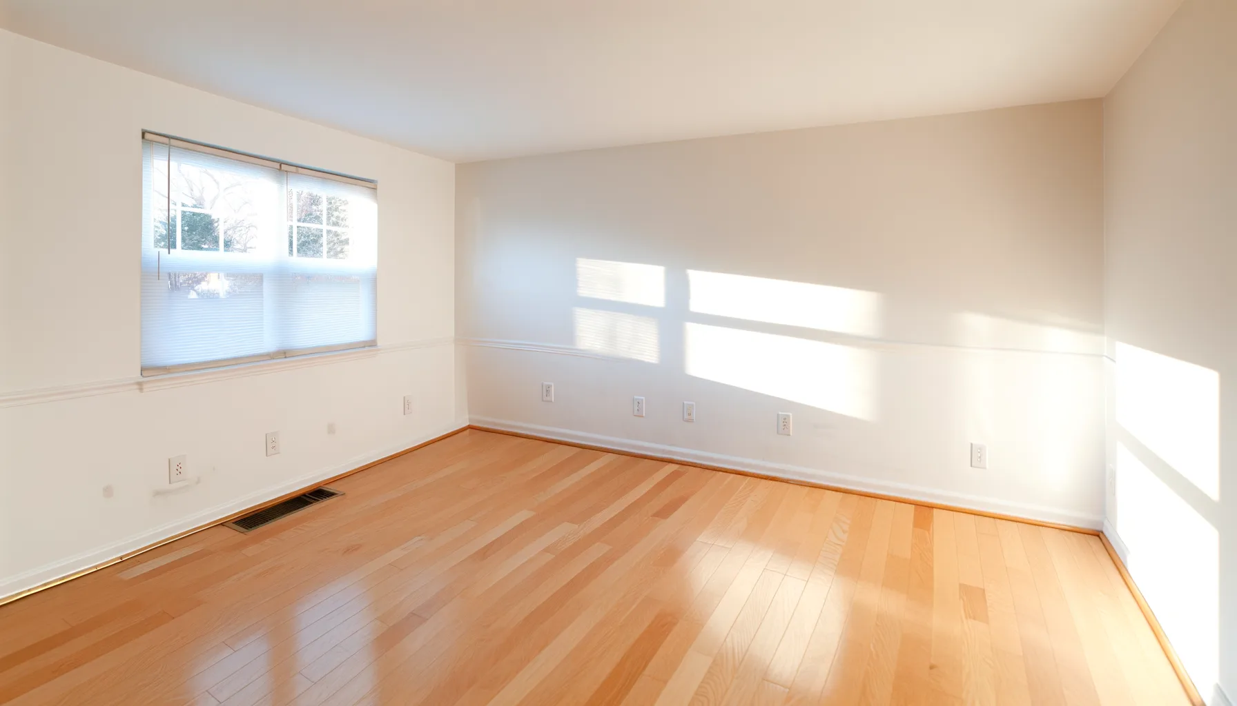 Basement Flood Recovery